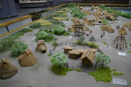 国立済州博物館